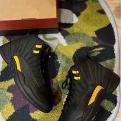 Jordan 12 Taxi