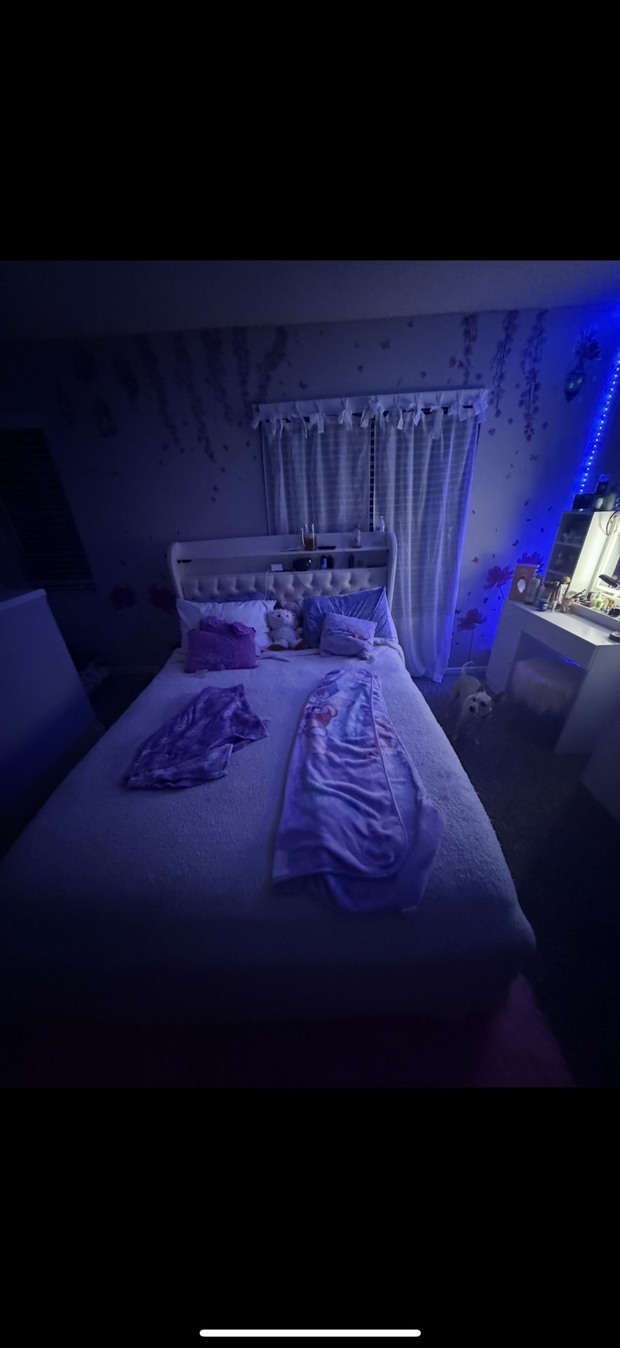 Cama And Matress Like New