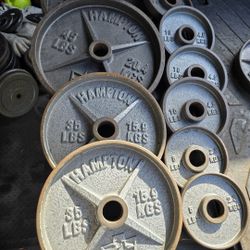 Weight Olympic Plates 