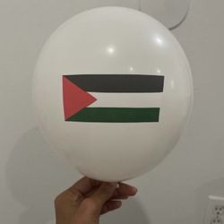 New, Set of 10 Palestine Flag Balloons 