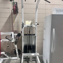 Assisted Chin Up And Dip Machine