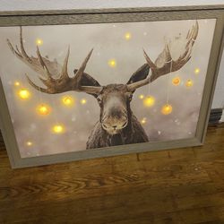 Deer Picture Frames Never Used 