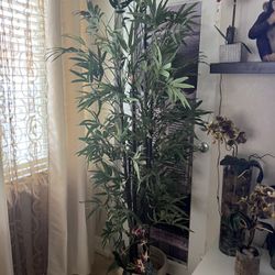 Planta Artificial 