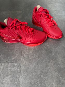 Brand New LeBron 21  Size 14 “ James Gang”