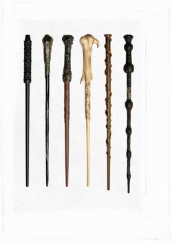 Harry Potter 6 Wand Lot