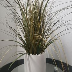 Fake plant 
