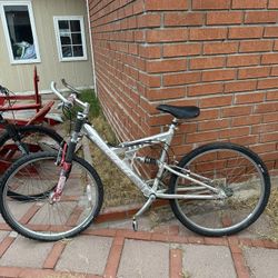 Titan Pacific Aluminum Bike