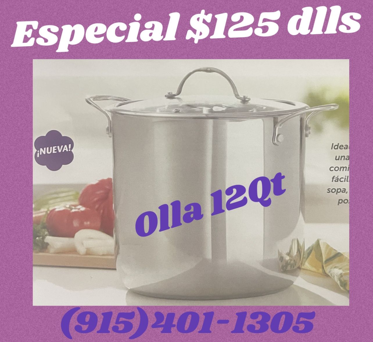 Olla De 12 Qt Princess House 