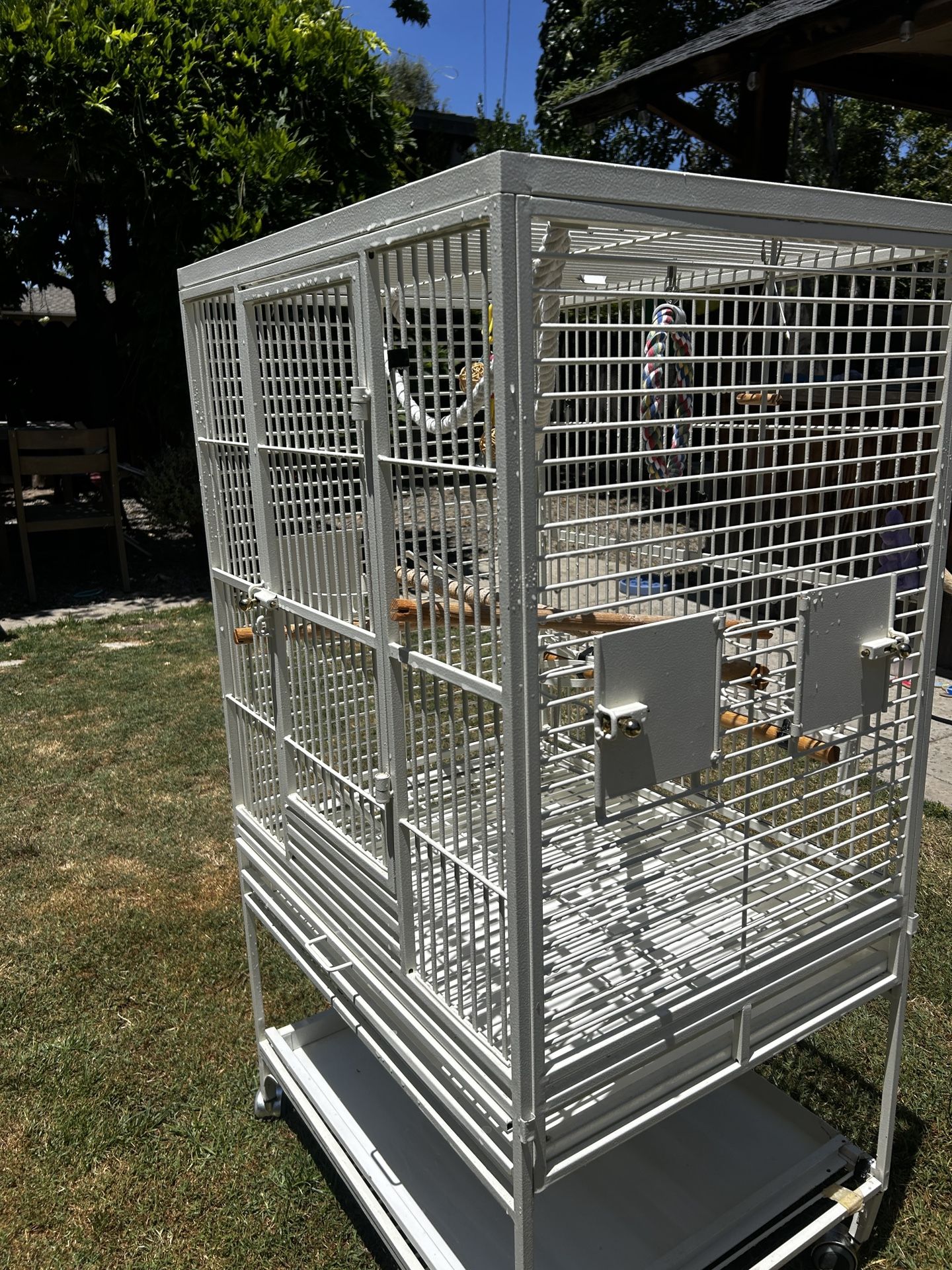 Bird Cage