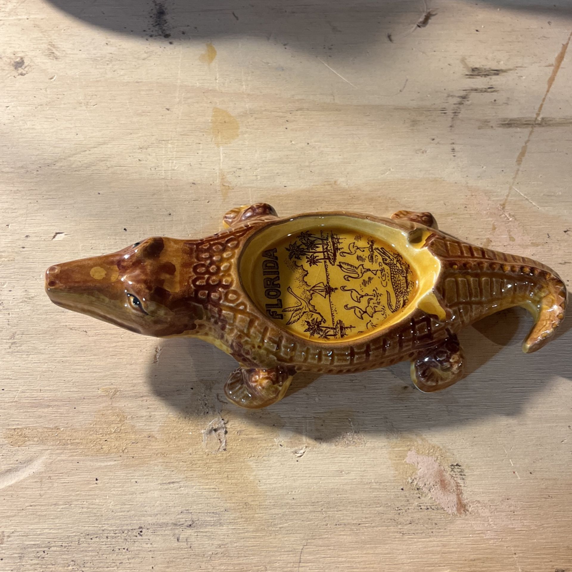 Gator