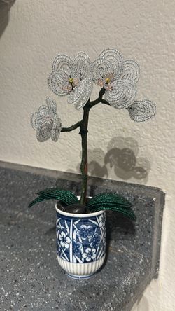 Flower orchid