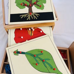 Montessori Botany Cabinet -Leaf & Flower