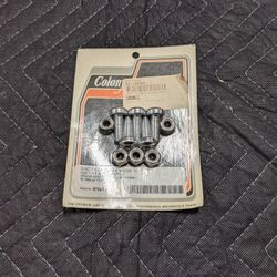 Front Rotor Bolts DS-190491