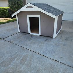 Dog House 