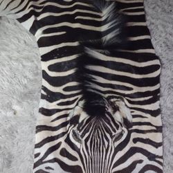 Real Zebra Skin