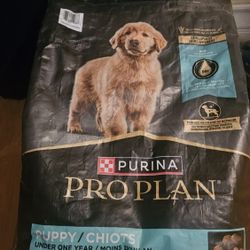 Purina Pro Plan Puppy Chicken and Rice Shredded Blend