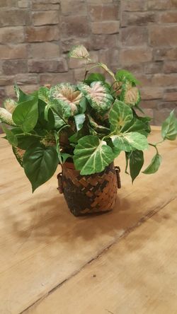 Decorative artificial plant