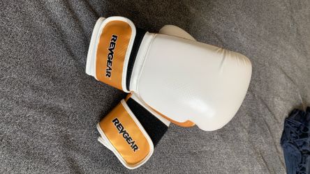 Revgear boxing gloves