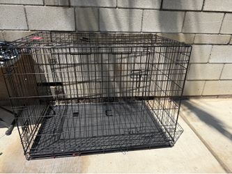 Large dog crate