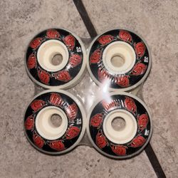 Skateboard Wheels