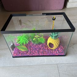 Fish Tank 3 Gallons