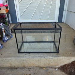5 gallon tank!