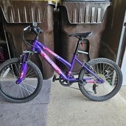 20 Inch Youth Bike