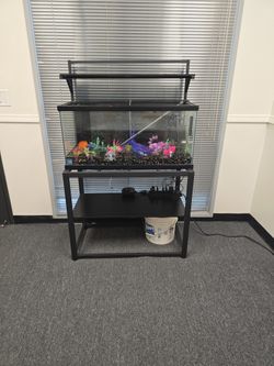 Aquarium