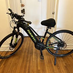 Ride in Style with the Giant E-Bike - Perfect for Deliveries or Adventures in the Park!
