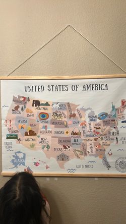 USA Illustrated Wall Map