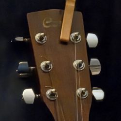 Cort Accoustic -mandolin-lawsuit Series Lespaul Copy