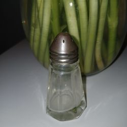 Vintage 8 sided clear glass shaker