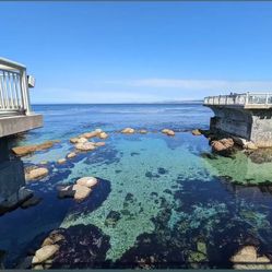 Monterey Bay Aquarium E-Ticket Notice!  Confirm the date and email address. You can pay through the Zelle or Cash in person （In Fresno Only）！ I'll boo