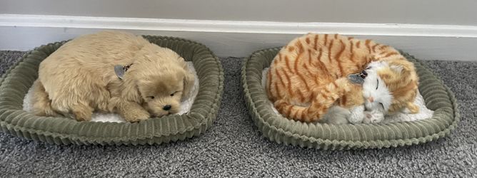 Perfect Petzzz Tabby Cat & Golden Retriever (stuffed toy)