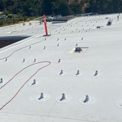 Roof Beautiful Professional Photos