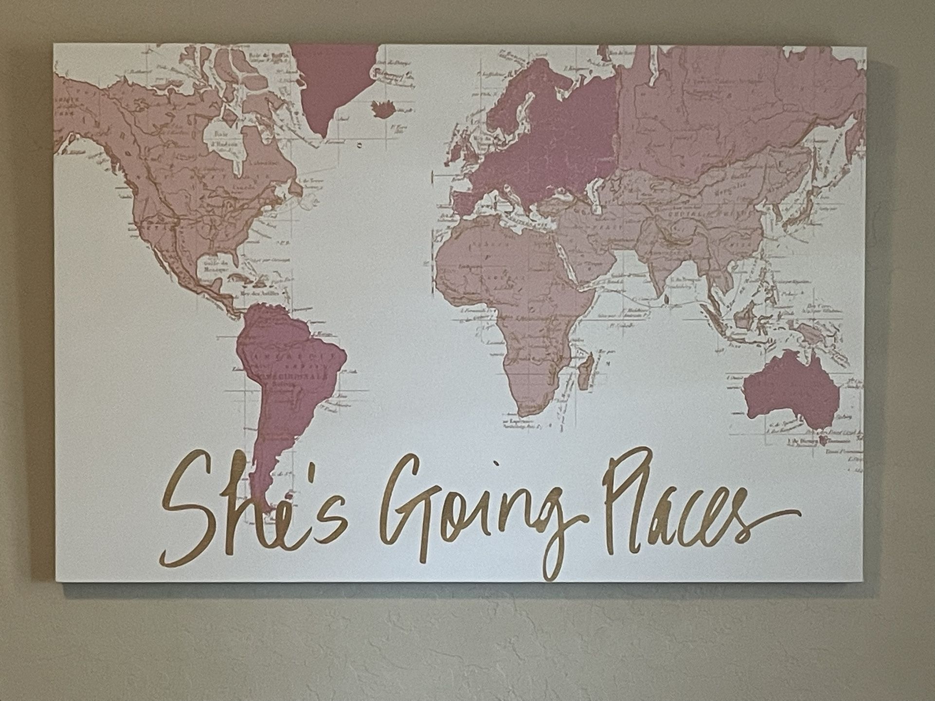 Pink Map Wall Art