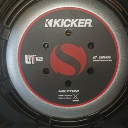 12 Inch L7 Shallow Speaker 2 Ohms