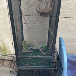 Chameleon Cage 