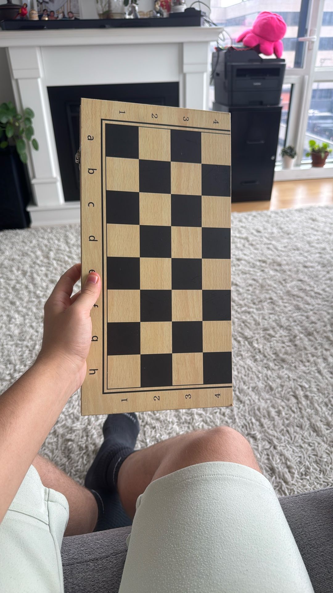 Chess/Backgammon Set