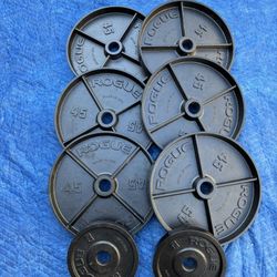 Rogue Dip Dish Weights 