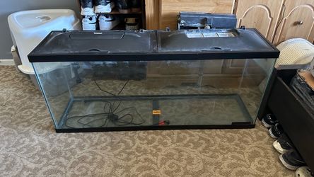 Fish tank