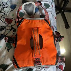 Dog Harness