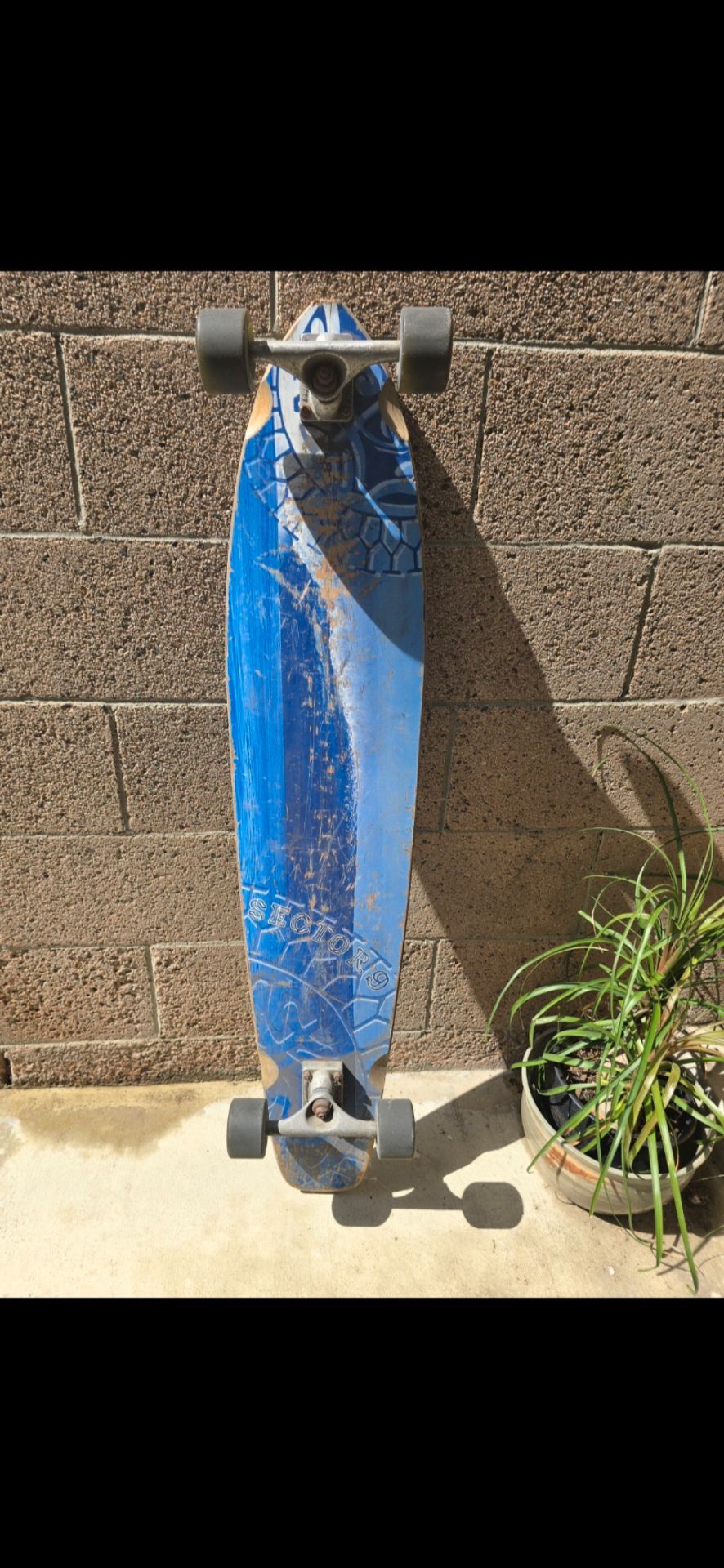 42 inch Sector 9 Longboard Skateboard Gullwing Trucks & WheelsπΉ