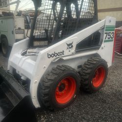 753 Bobcat 