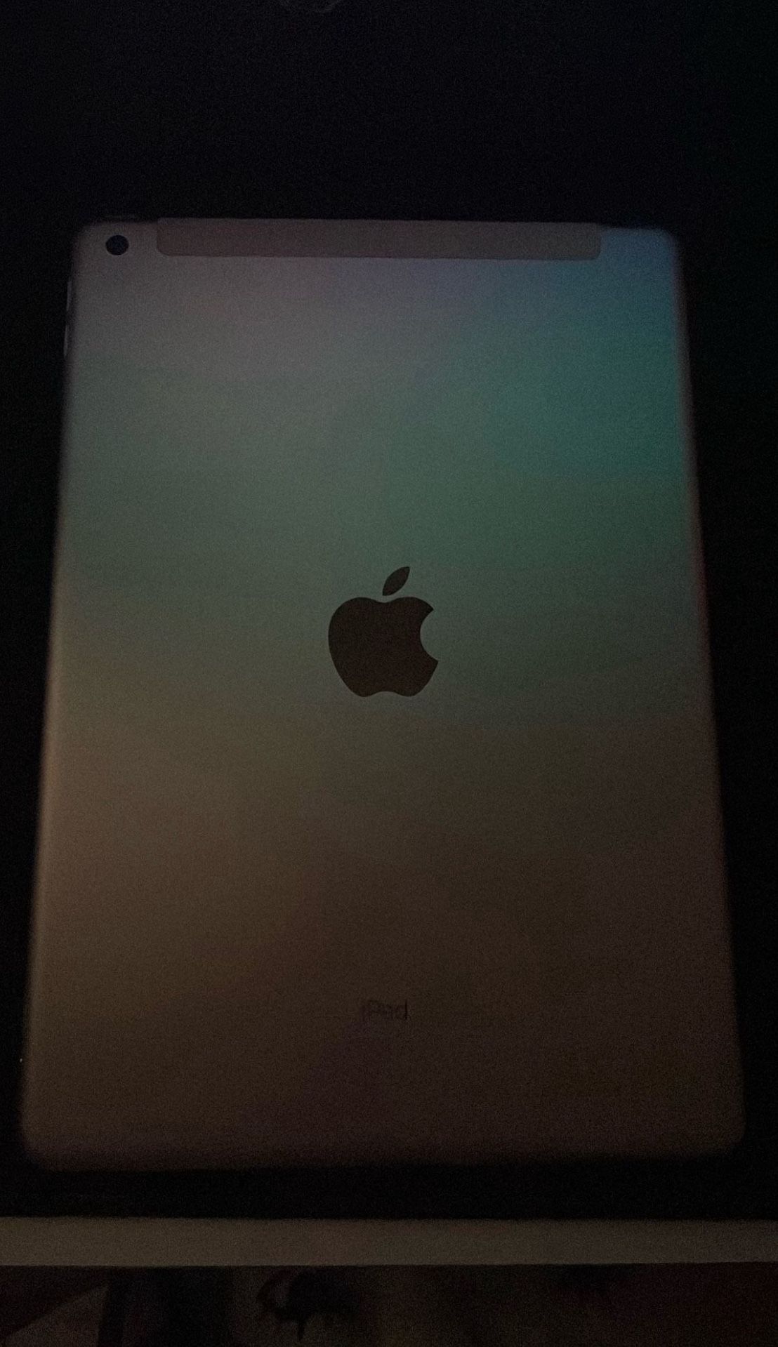 iPad