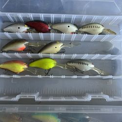 Norman Lures DD22’S