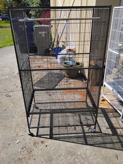 Birdcage