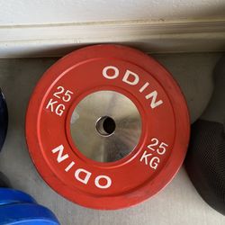 Bumper Plates (barbell)