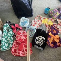 Little Dog Clothes -5