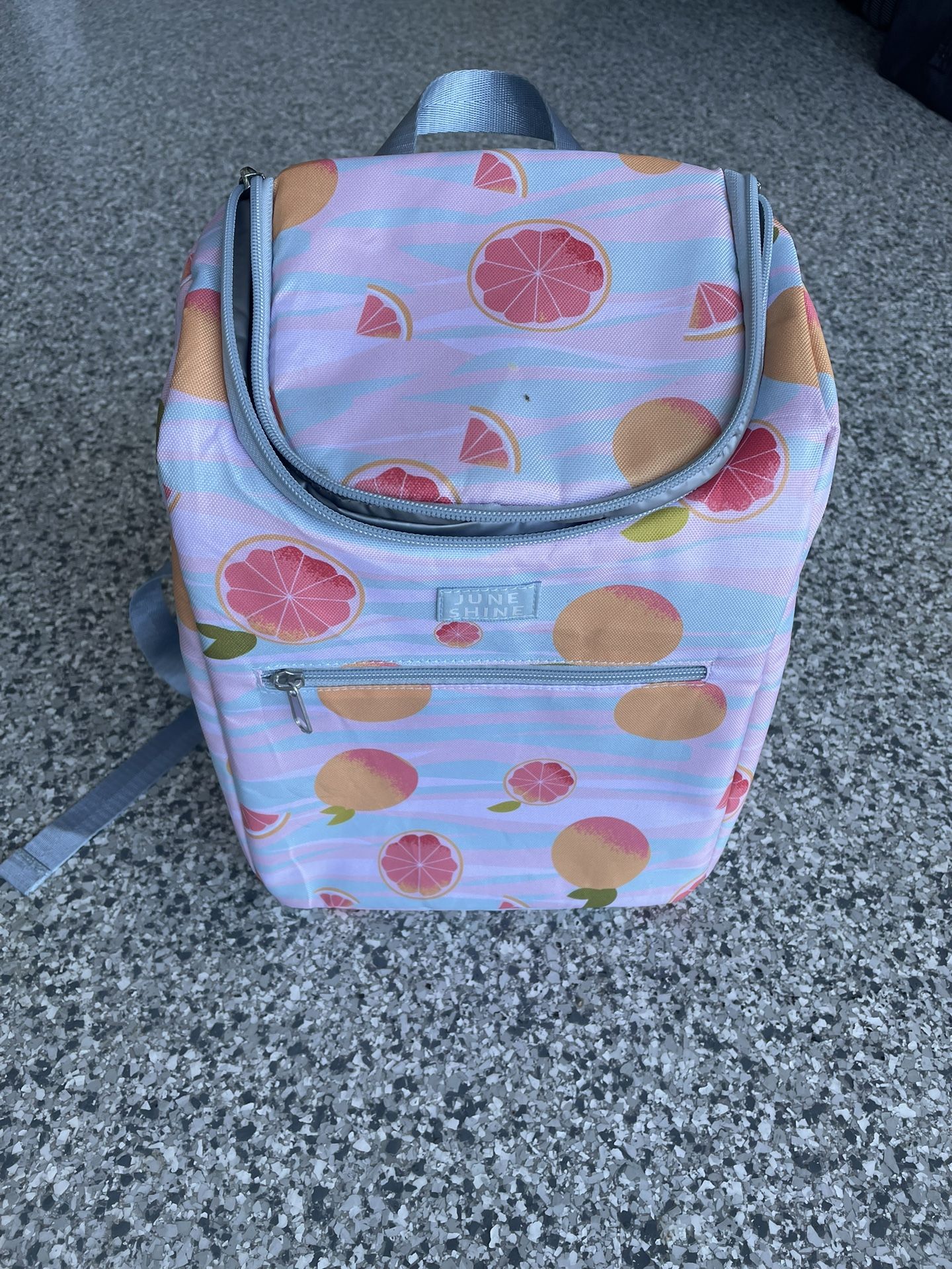 June shine cooler backpack